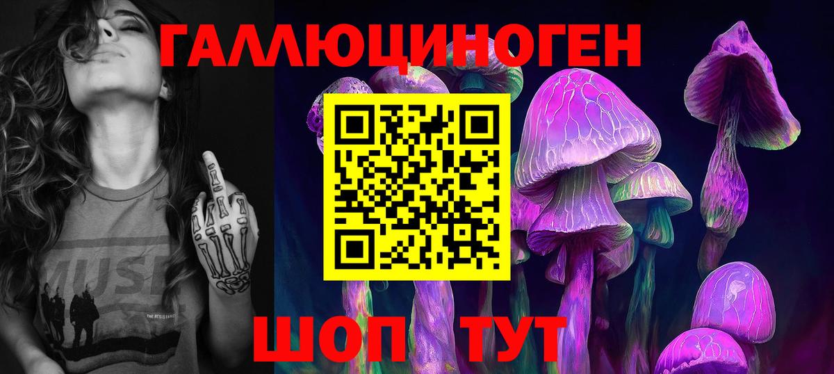 Киров  Псилоцибиновые грибы прущие грибы  Вход с VPN  Галлюциногенные грибы мицелий 